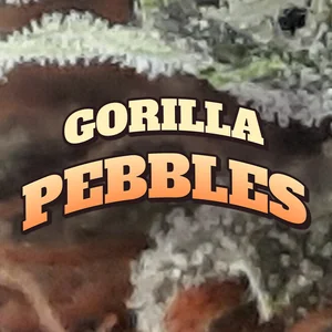 Gorilla Pebbles Cannabis Strain