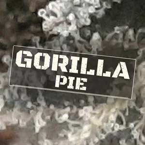 Gorilla Pie Cannabis Strain