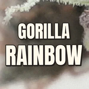 Gorilla Rainbow Cannabis Strain