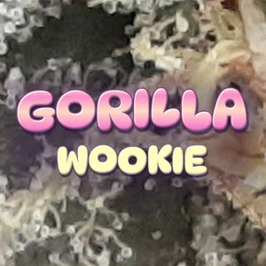 Gorilla Wookie Cannabis Strain
