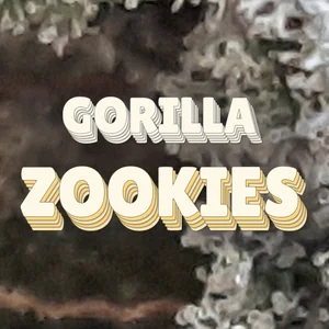 Gorilla Zookies Cannabis Strain