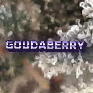 Goudaberry Cannabis Strain