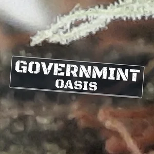 GovernMint Oasis Cannabis Strain