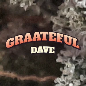 Graateful Dave Cannabis Strain