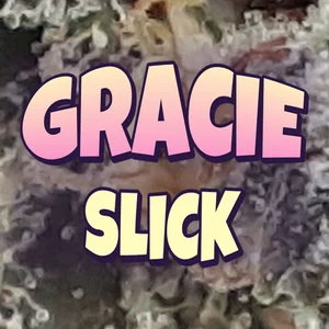 Gracie Slick Cannabis Strain