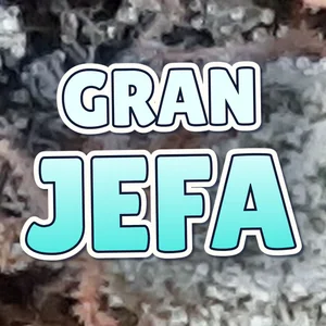 Gran Jefa Cannabis Strain