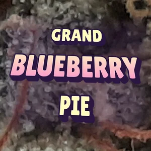 Grand Blueberry Pie Cannabis Strain