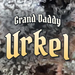 Grand Daddy Urkel Cannabis Strain