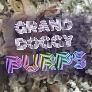 Grand Doggy Purps Cannabis Strain