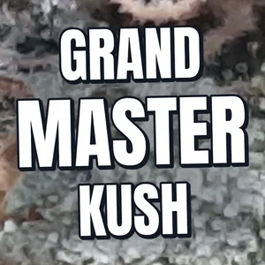 Grand Master Kush Cannabis Strain