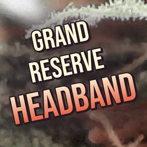 Grand Reserve Headband Cannabis Strain