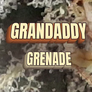 Grandaddy Grenade Cannabis Strain