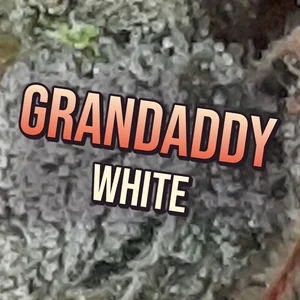 Grandaddy White Cannabis Strain