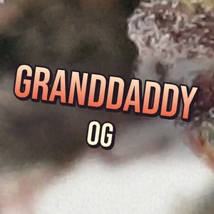 Granddaddy OG Cannabis Strain