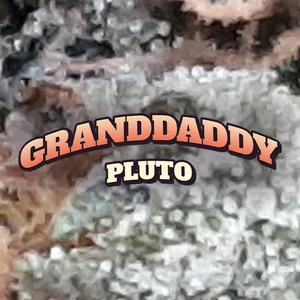 Granddaddy Pluto Cannabis Strain
