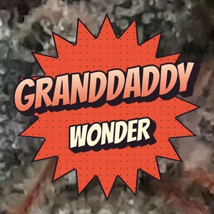 Granddaddy Wonder Cannabis Strain