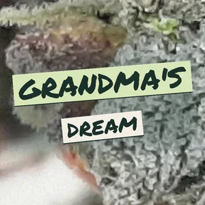 Grandma's Dream Cannabis Strain