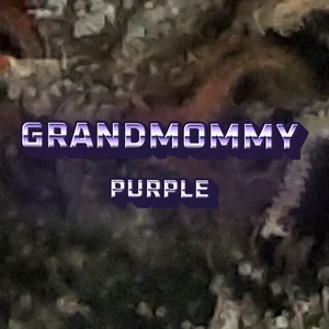 Grandmommy Purple Cannabis Strain
