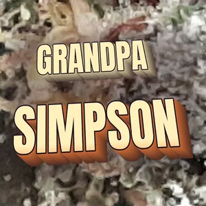 Grandpa Simpson Cannabis Strain