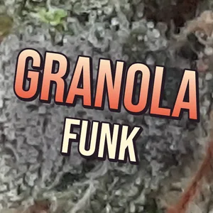 Granola Funk Cannabis Strain