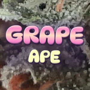 Grape Ape Cannabis Strain