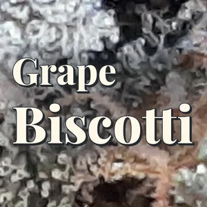 Grape Biscotti Cannabis Strain