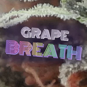 Grape Breath Cannabis Strain