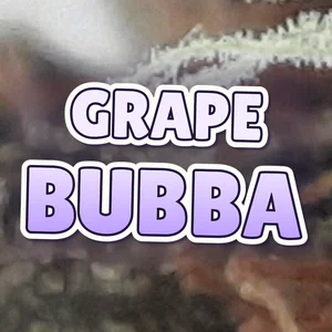 Grape Bubba Cannabis Strain