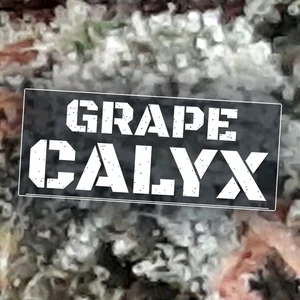 Grape Calyx Cannabis Strain