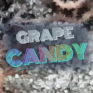 Grape Candy Cannabis Strain