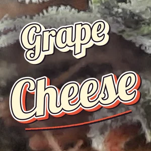 Grape Cheese Cannabis Strain