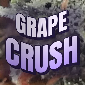 Grape Crush Cannabis Strain