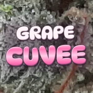 Grape Cuvee Cannabis Strain