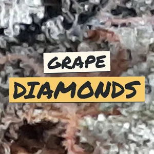Grape Diamonds Cannabis Strain