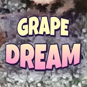 Grape Dream Cannabis Strain