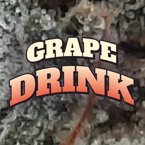 Grape Drink Cannabis Strain