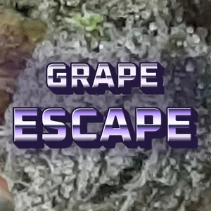 Grape Escape Cannabis Strain