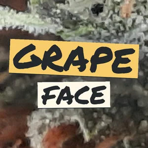 Grape Face Cannabis Strain