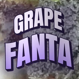 Grape Fanta Cannabis Strain