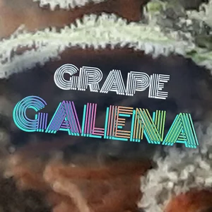 Grape Galena Cannabis Strain