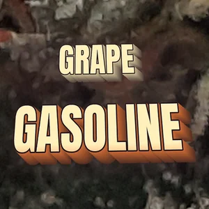 Grape Gasoline Cannabis Strain