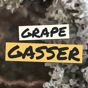 Grape Gasser Cannabis Strain