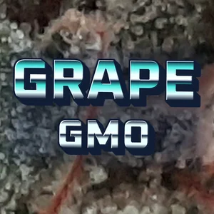 Grape GMO Cannabis Strain