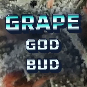 Grape God Bud Cannabis Strain