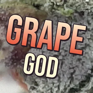 Grape God Cannabis Strain