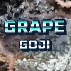 Grape Goji Cannabis Strain