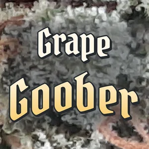 Grape Goober Cannabis Strain