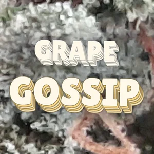 Grape Gossip Cannabis Strain