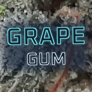Grape Gum Cannabis Strain