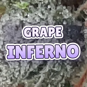 Grape Inferno Cannabis Strain